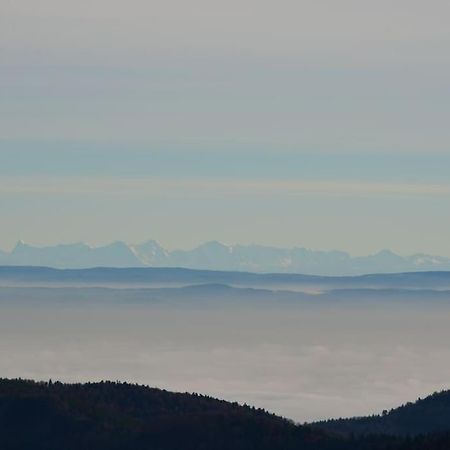 Doller Villa 4 Stars Hot Tub Mountain Ski Ballon D'Alsace Sewen Buitenkant foto