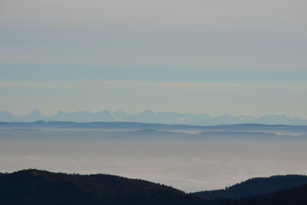 Doller Villa 4 Stars Hot Tub Mountain Ski Ballon D'Alsace Sewen Buitenkant foto