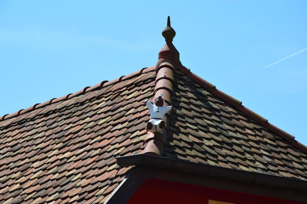 Doller Villa 4 Stars Hot Tub Mountain Ski Ballon D'Alsace Sewen Buitenkant foto