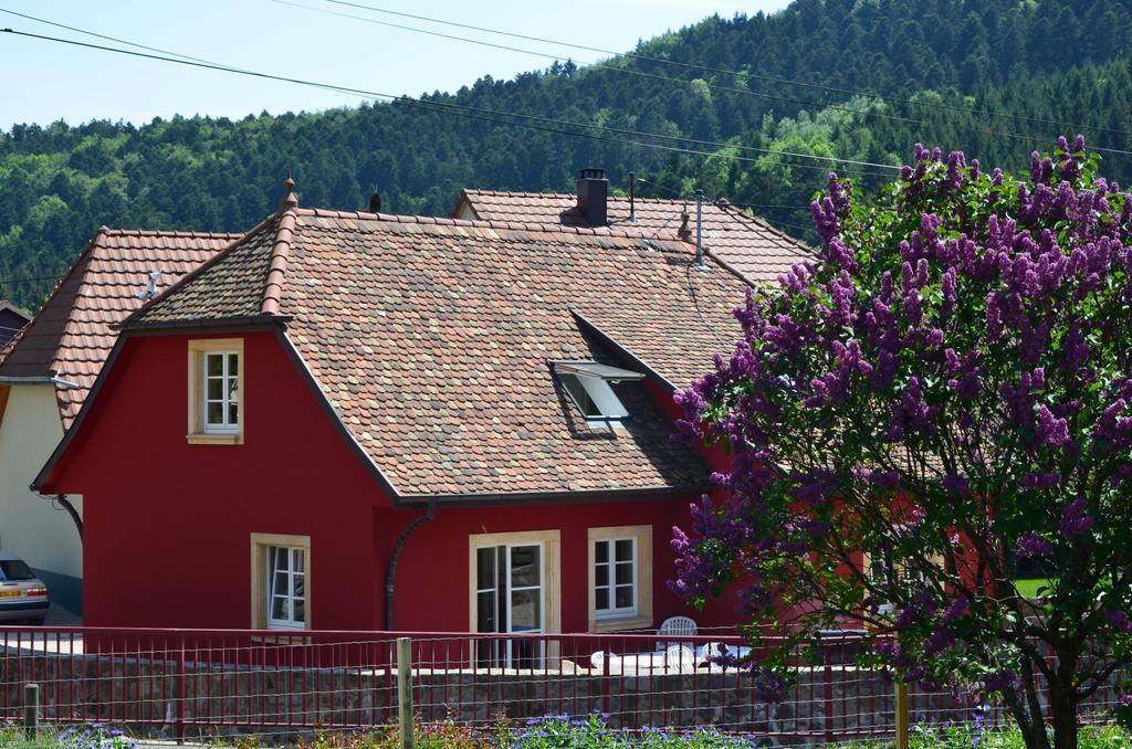 Doller Villa 4 Stars Hot Tub Mountain Ski Ballon D'Alsace Sewen Buitenkant foto